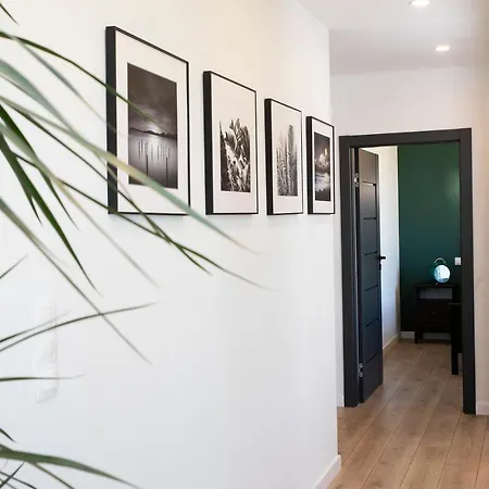 公寓 Luxus Tulipan