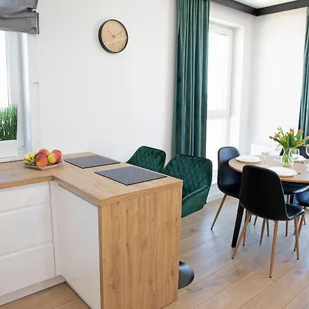 Luxus Tulipan 格丁尼亚