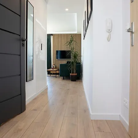 Luxus Tulipan * 格丁尼亚