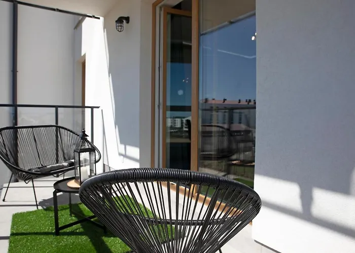 Luxus Tulipan * Gdynia