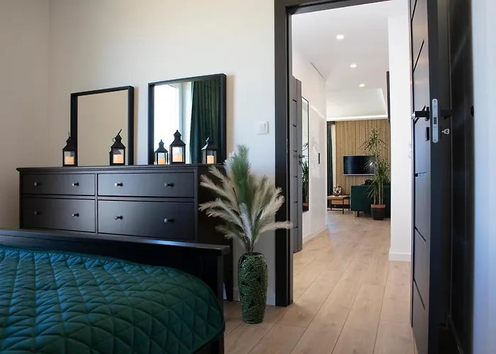 Luxus Tulipan Gdynia