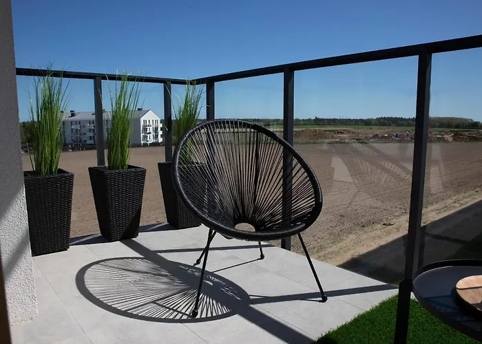 Luxus Tulipan * Gdynia