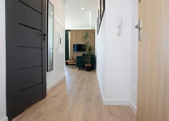 Luxus Tulipan * Gdynia